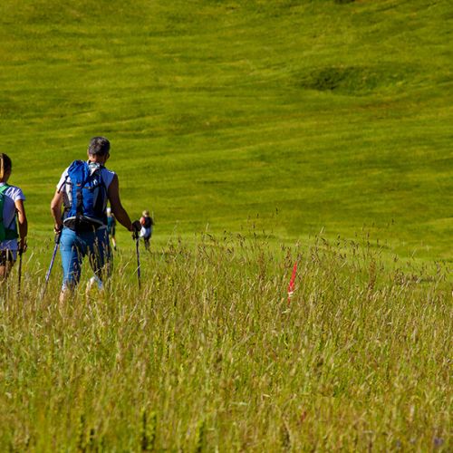 Le Relais de Poste - Ally - Nature Cantal - Randonnée